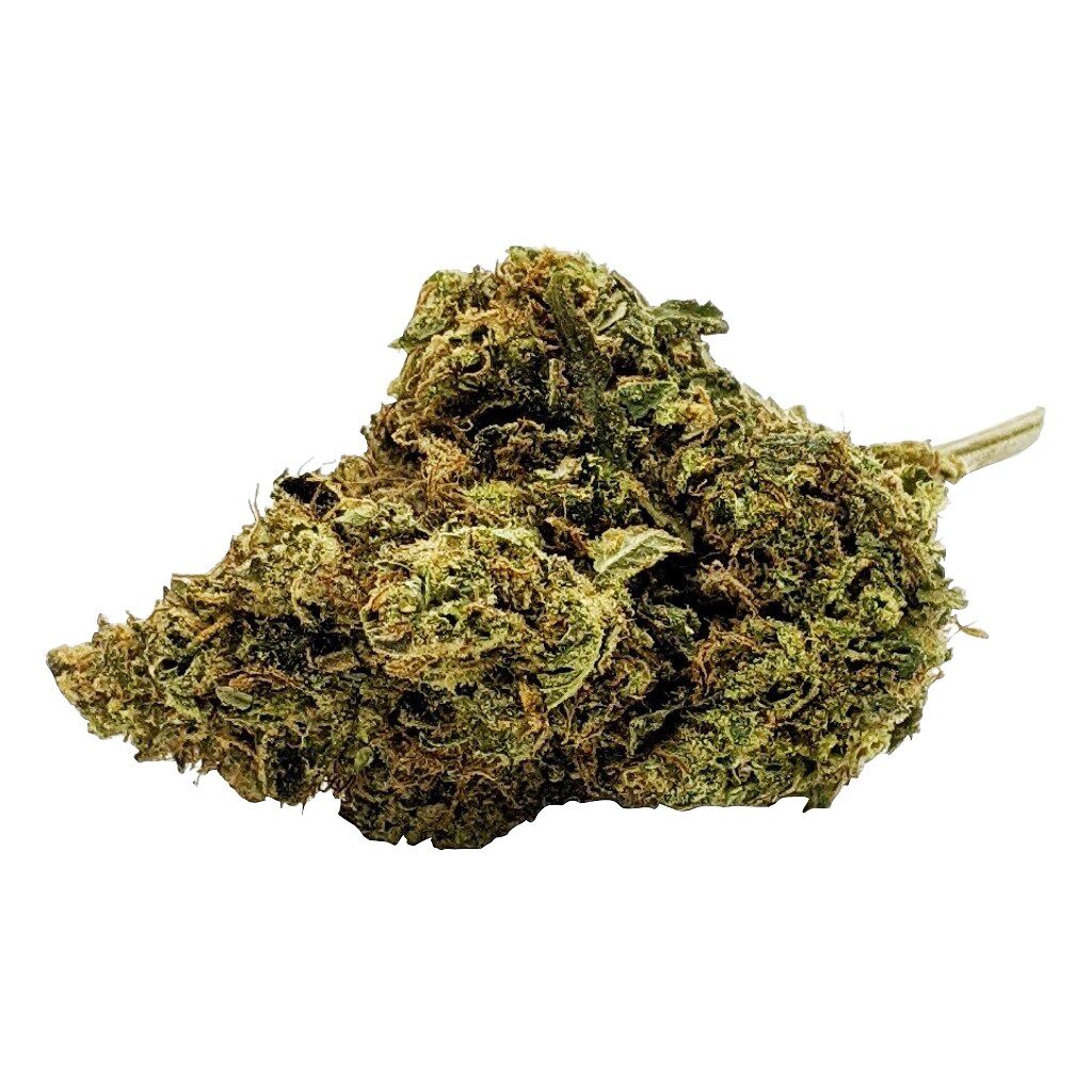 Rally (Island Sweet Skunk)